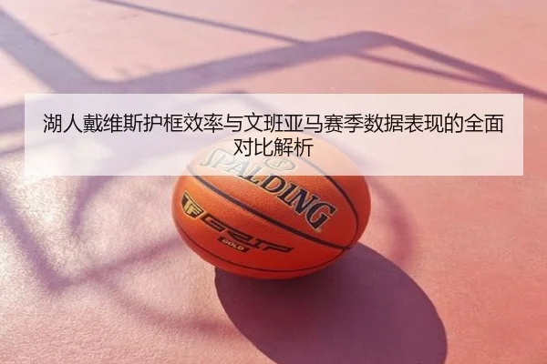 湖人戴维斯护框效率与文班亚马赛季数据表现的全面对比解析