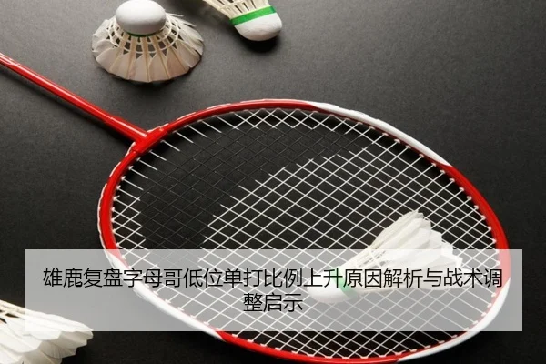雄鹿复盘字母哥低位单打比例上升原因解析与战术调整启示