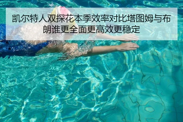 凯尔特人双探花本季效率对比塔图姆与布朗谁更全面更高效更稳定